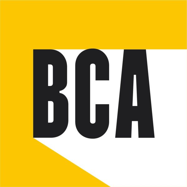 Unofficial Bc School Logo