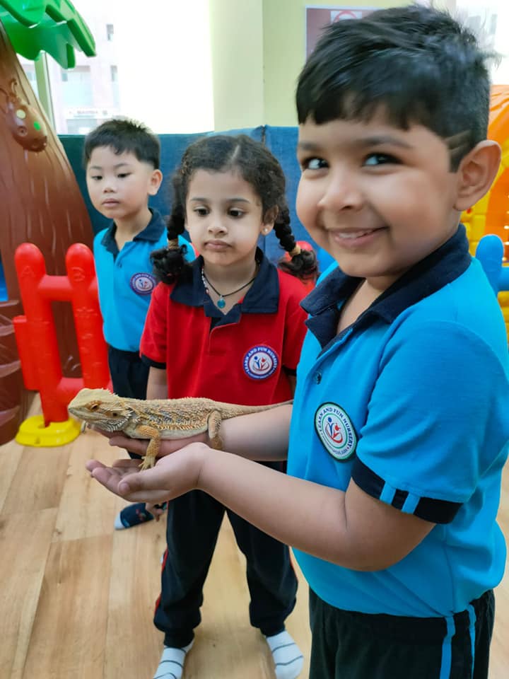 Unofficial Learn And Fun